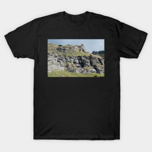 View from Bucegi mountains, Romania, Bucegi National Park T-Shirt